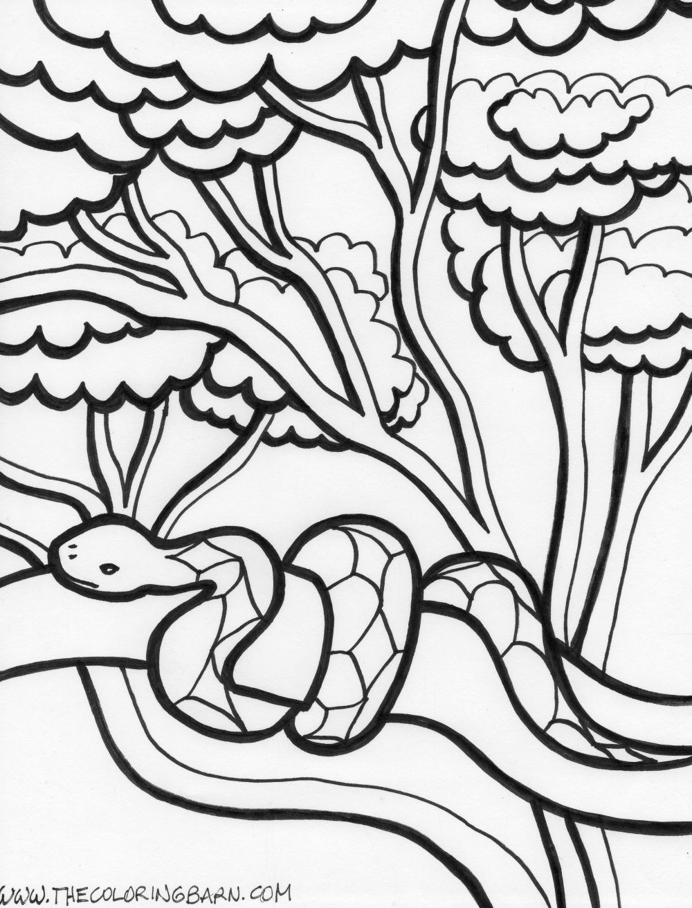 Rainforest Coloring Pages The Coloring Barn Worksheets Library