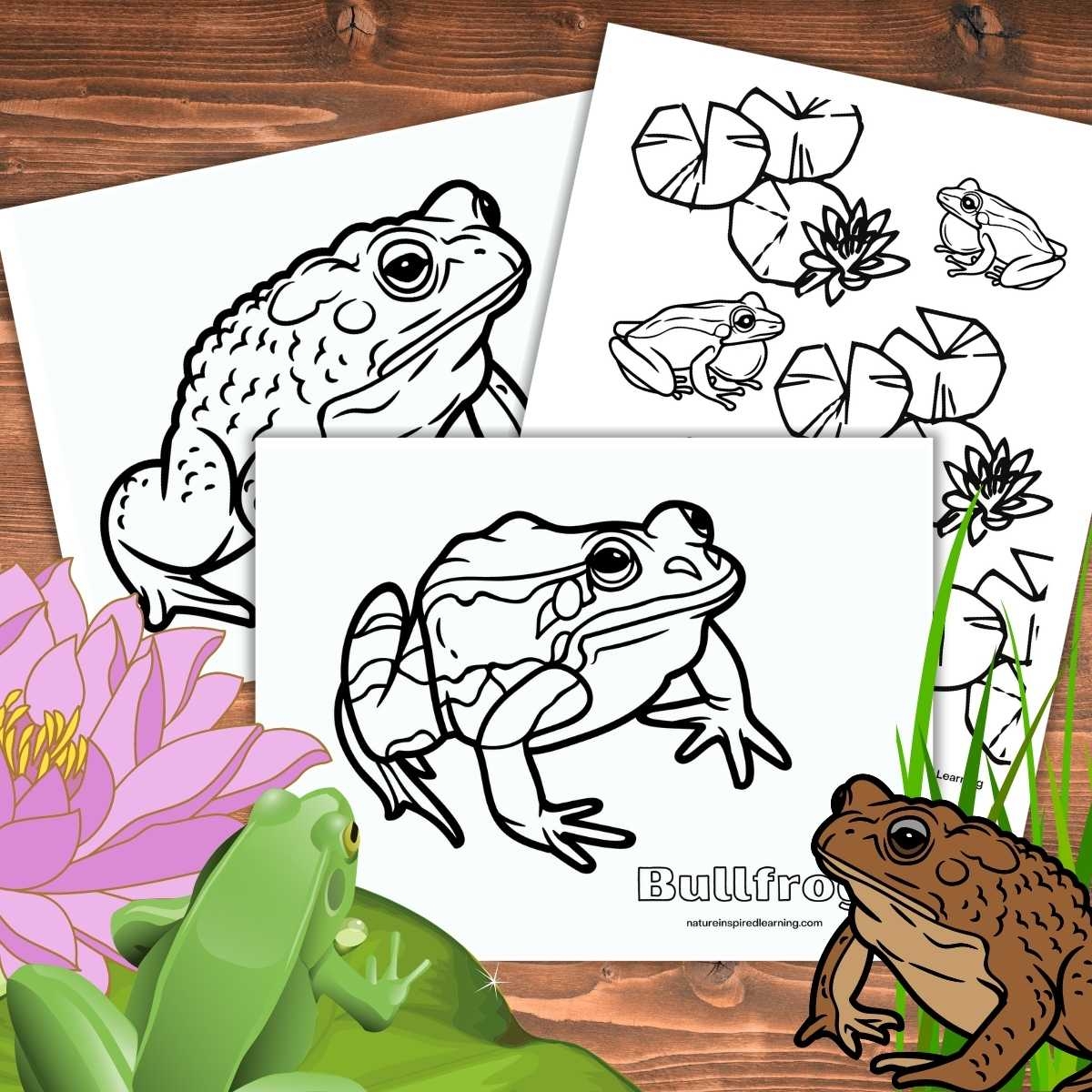 frog coloring pages printable