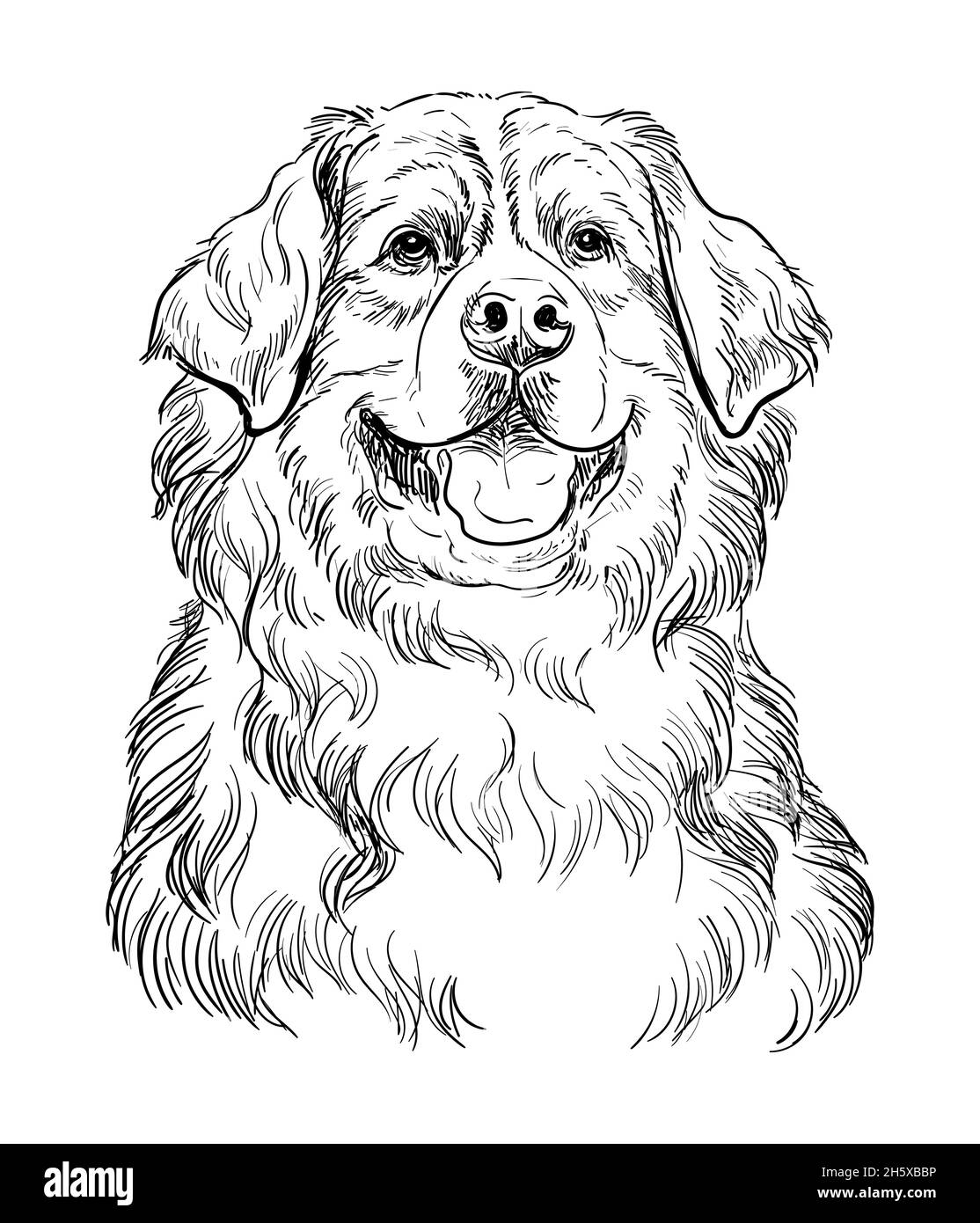 Realistic Puppy Coloring Pages Cut Out Stock Images U0026 Pictures Alamy