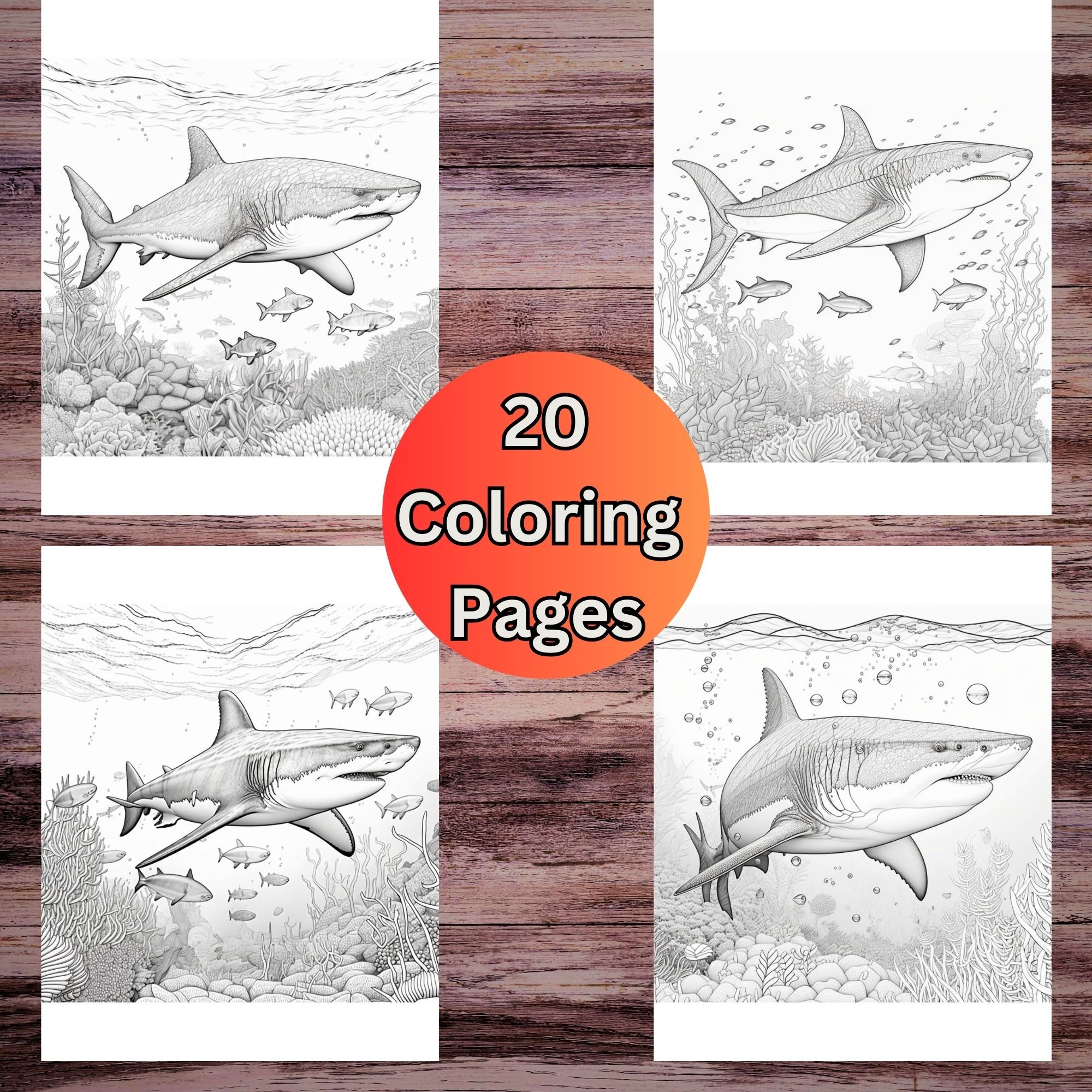 Realistic Shark Coloring Pages For Adults Ocean Life Coloring 