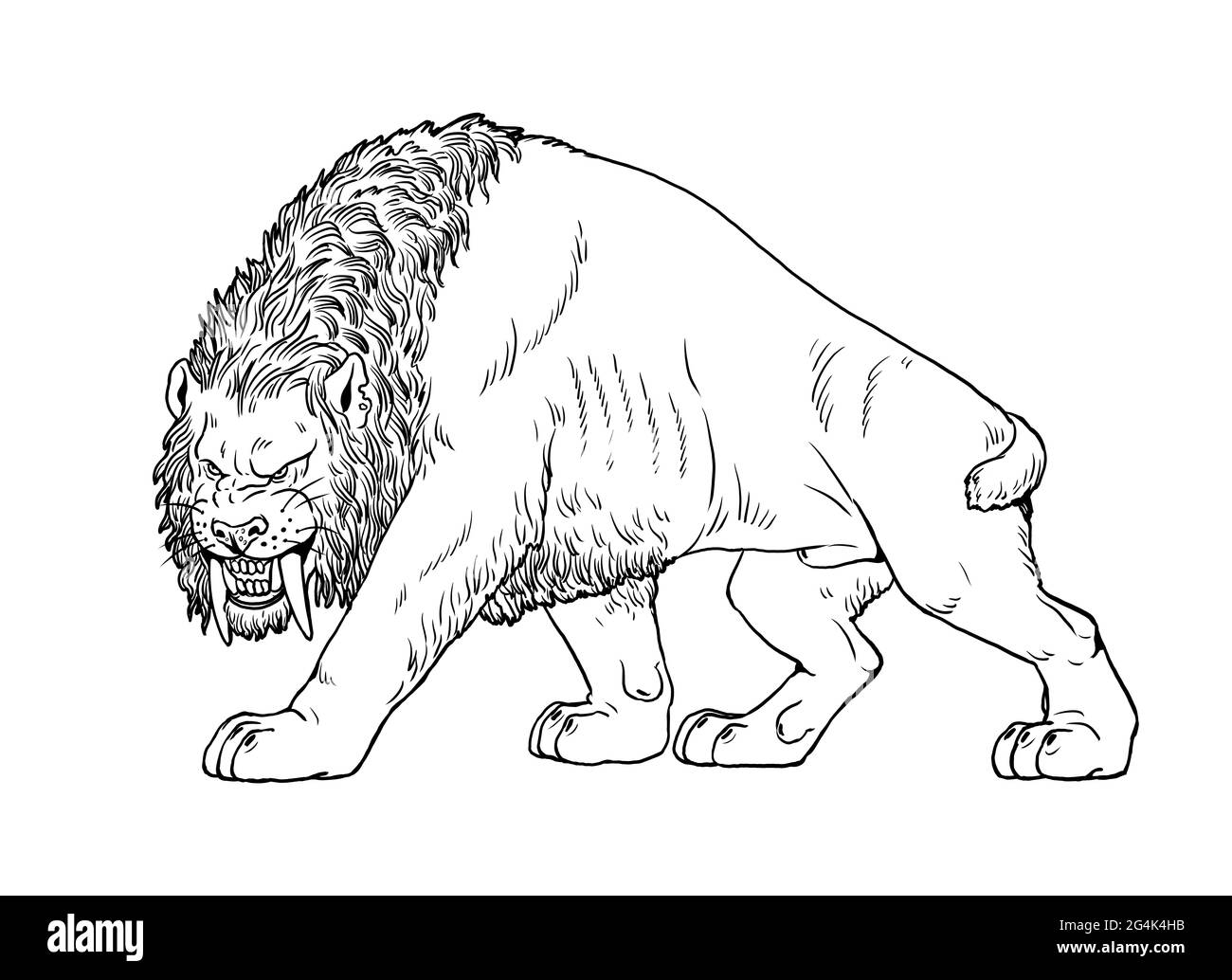 Saber Tooth Cat On The Hunt Animals Illustration Saber toothed Cat Attack Coloring Book Stock Photo Alamy