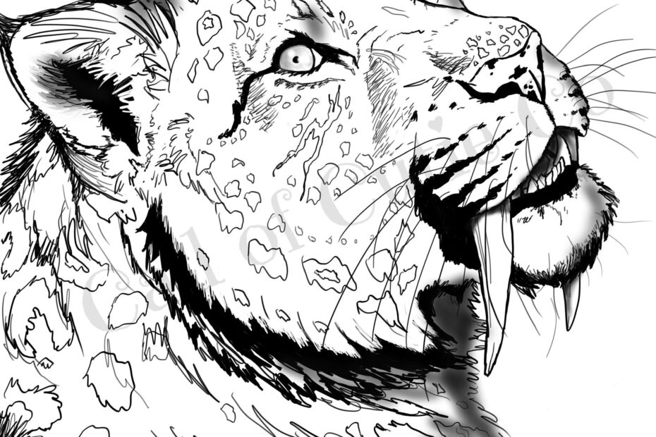 Saber Tooth Tiger Coloring Page Animal Color Pages Etsy Ireland