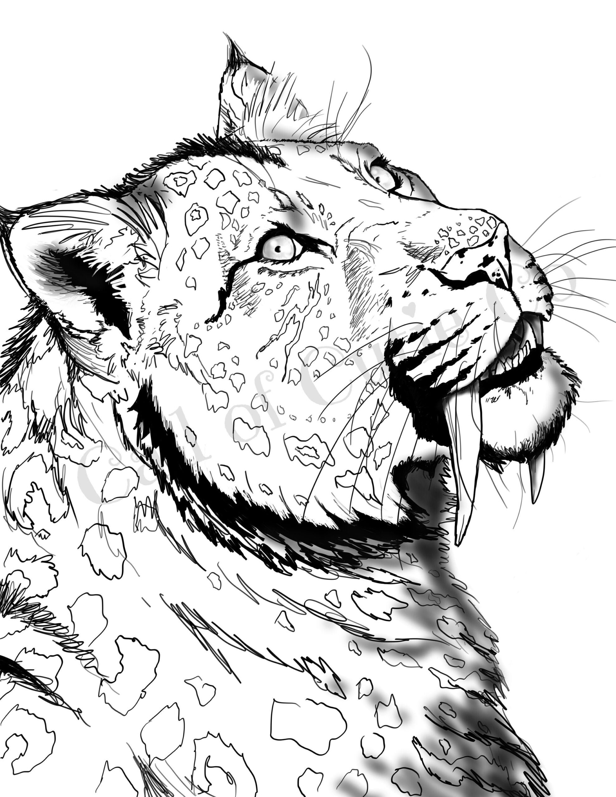 Saber Tooth Tiger Coloring Page Animal Color Pages Etsy Ireland