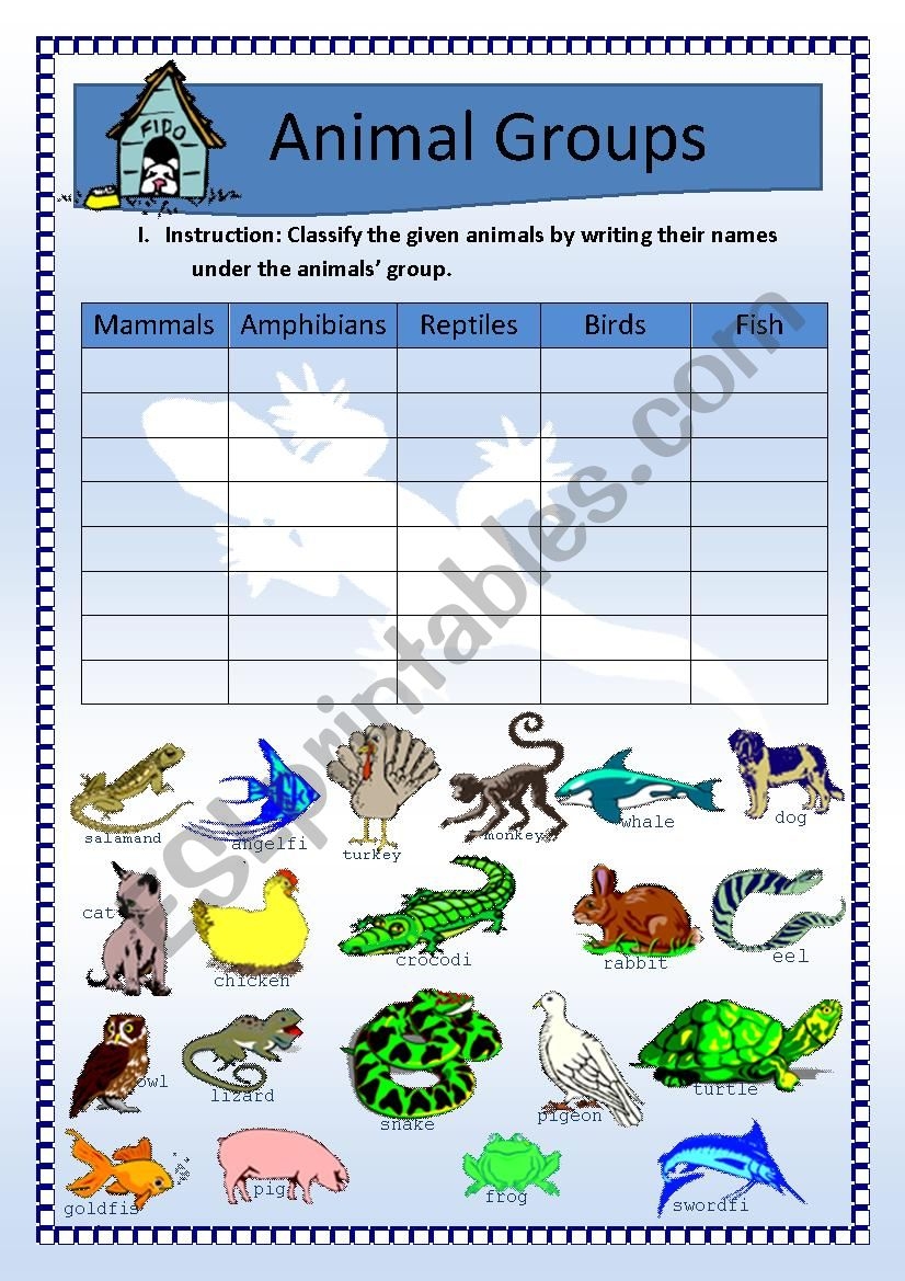animal classification worksheet