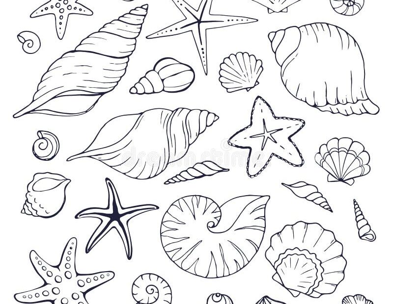 Sea Shells Coloring Stock Illustrations 1 057 Sea Shells Coloring Stock Illustrations Vectors U0026 Clipart Dreamstime