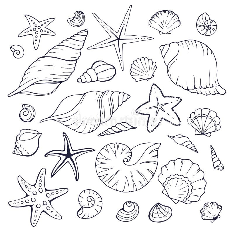 Sea Shells Coloring Stock Illustrations 1 057 Sea Shells Coloring Stock Illustrations Vectors U0026 Clipart Dreamstime