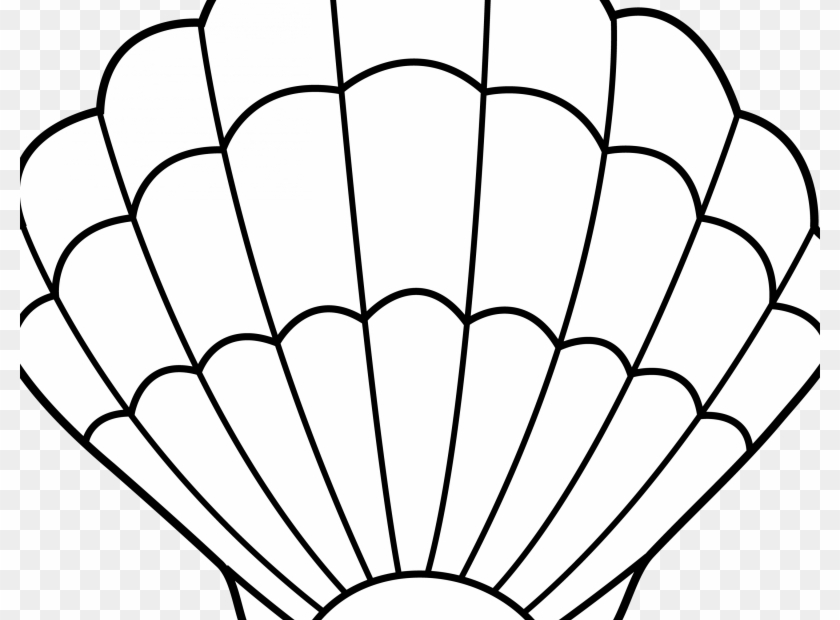 Seashell Clipart Seashell Lineart Free Clip Art Clip Seashell Template Free Printable Free Transparent PNG Clipart Images Download