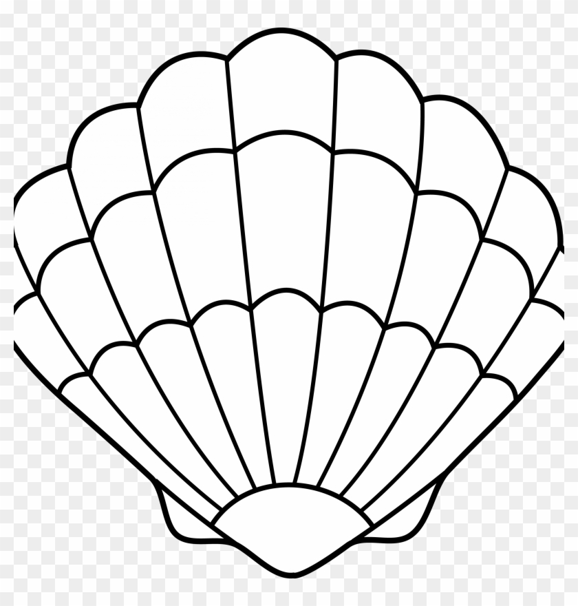 Seashell Clipart Seashell Lineart Free Clip Art Clip Seashell Template Free Printable Free Transparent PNG Clipart Images Download