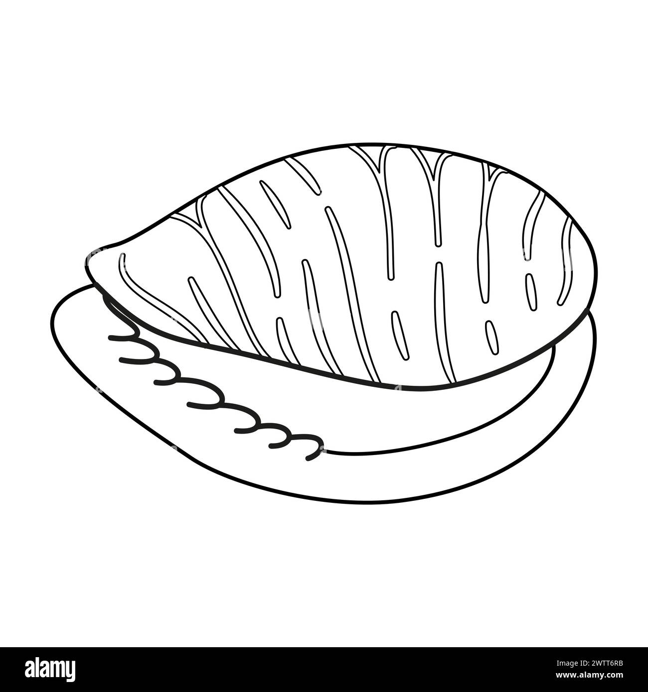 Seashell Vector Illustration Black And White Outline Seashell Coloring Page For Kids And Adults Page For Relaxation And Meditation Vector Illustration Stock Vector Image U0026 Art Alamy