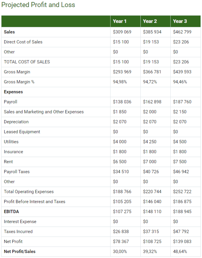Self Storage Business Plan Guide U0026 Template 2025 