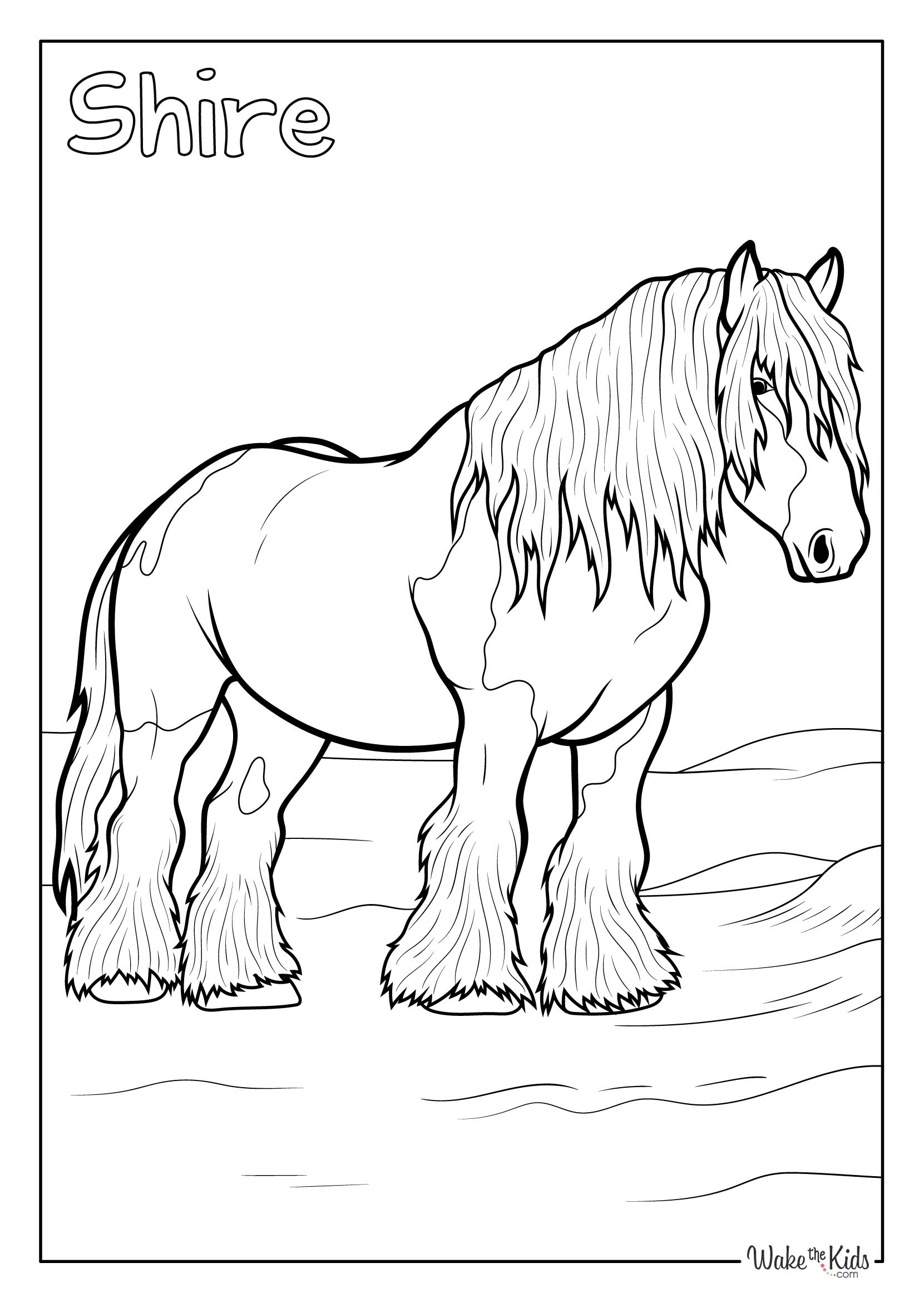 printable coloring page horse