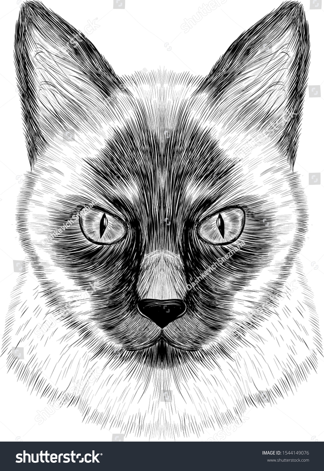 Siamese Cat Black White Sketch Coloring Stock Vector Royalty Free 1544149076 Shutterstock