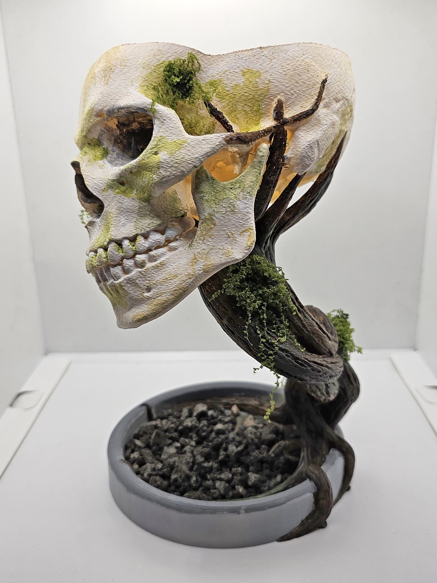 Skull Plant Vase 3D Stl Printable