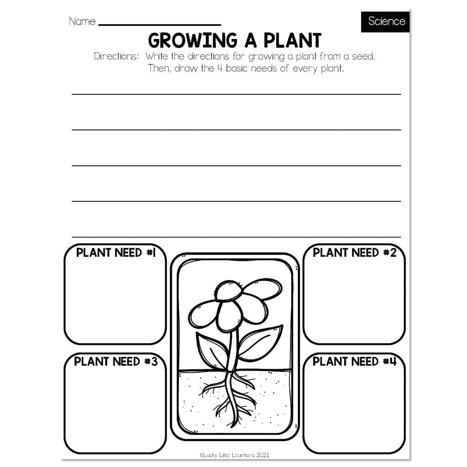 Spring Early Finishers 2nd Grade Science Growing A Plant 