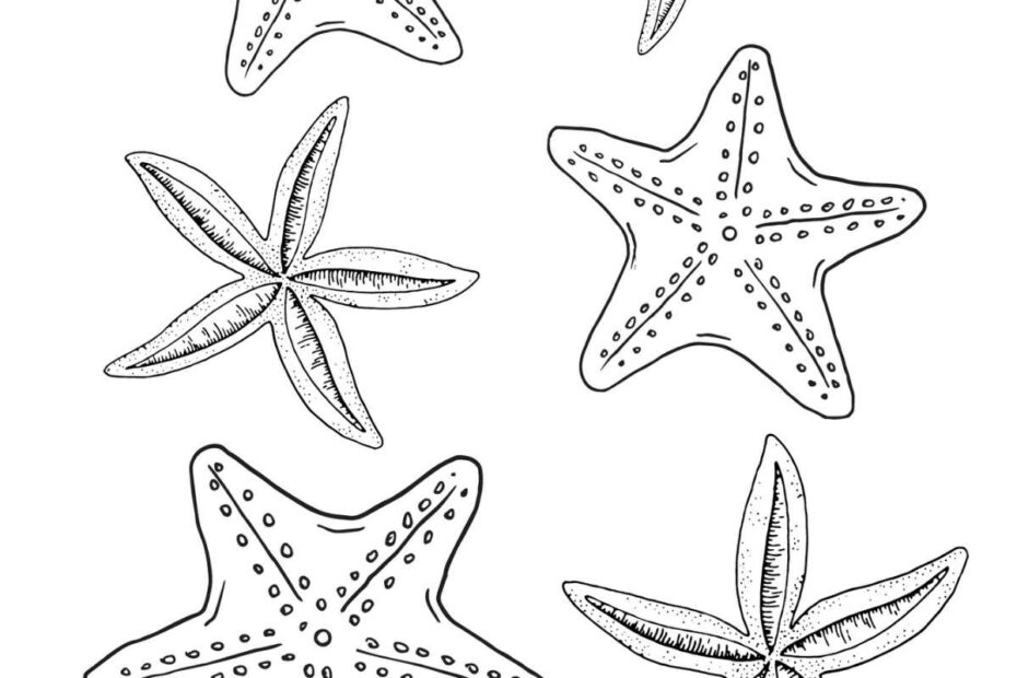 Starfish Coloring Pages Nature Inspired Learning
