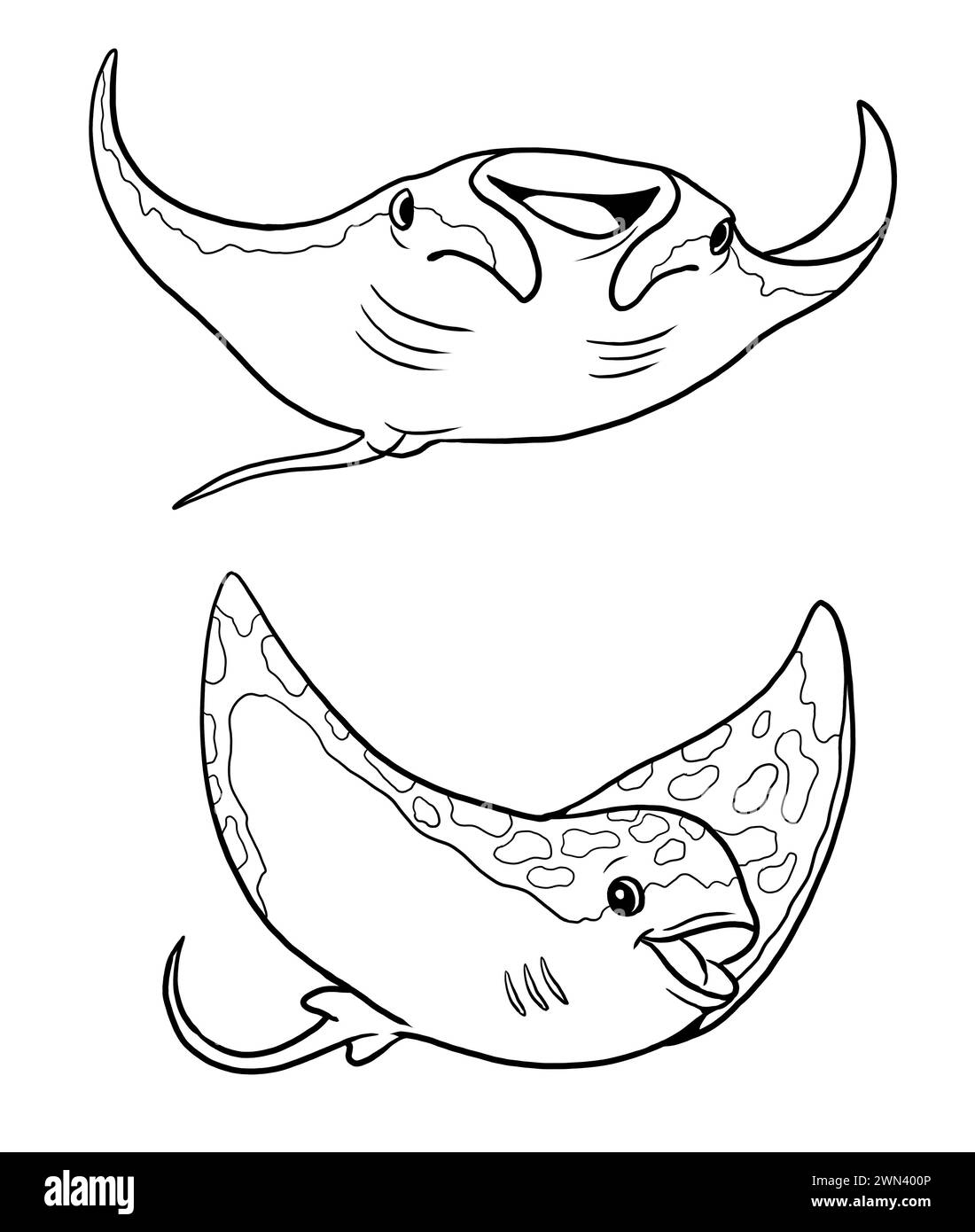 stingray pictures to color