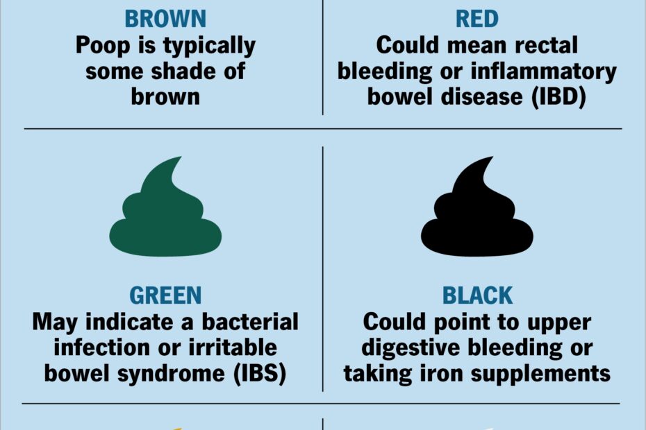 Stool Poop Color Guide What It Indicates Healthy Color