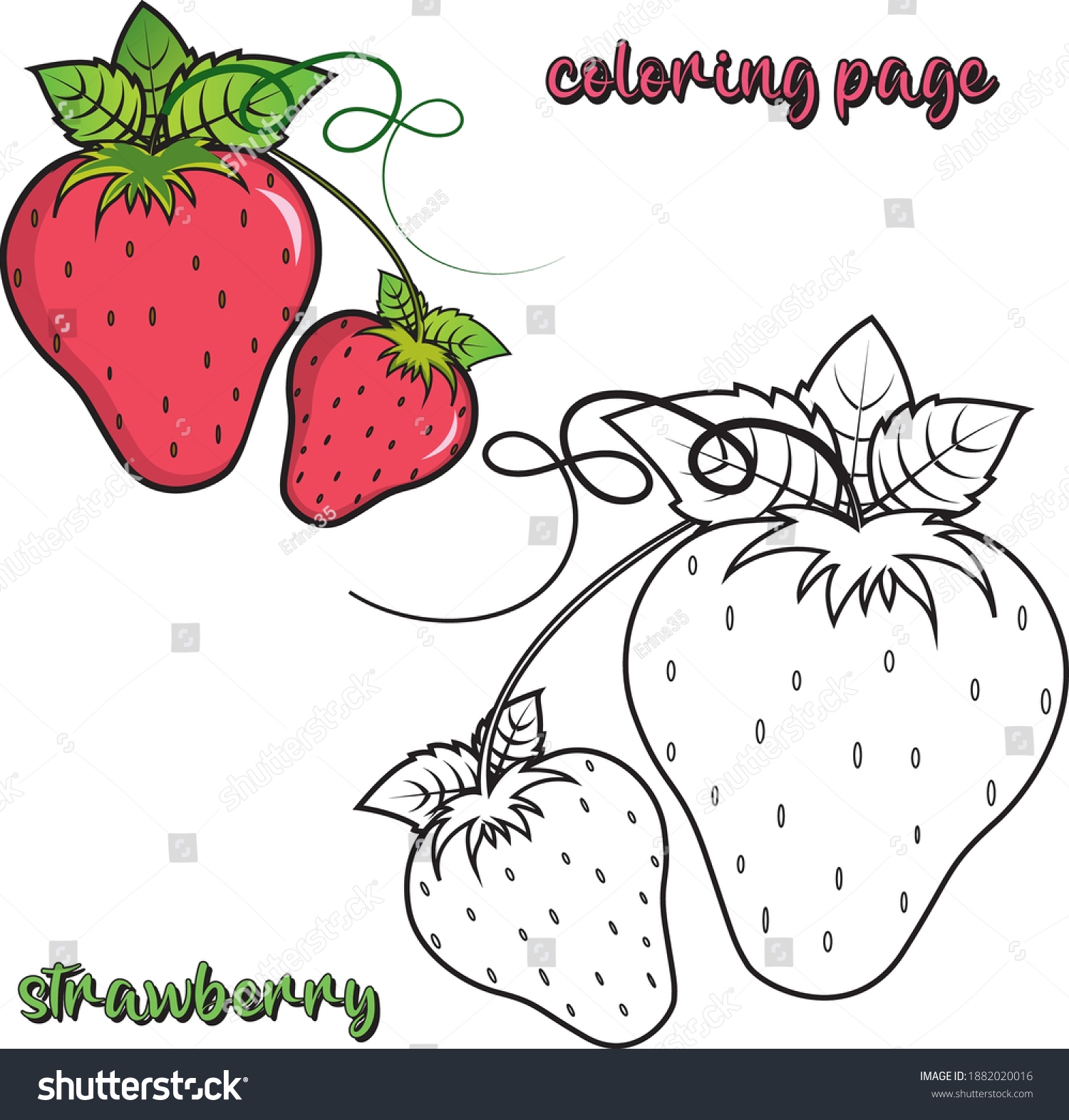 Strawberry Coloring Page Kids Fruit Vector Stock Vector Royalty 