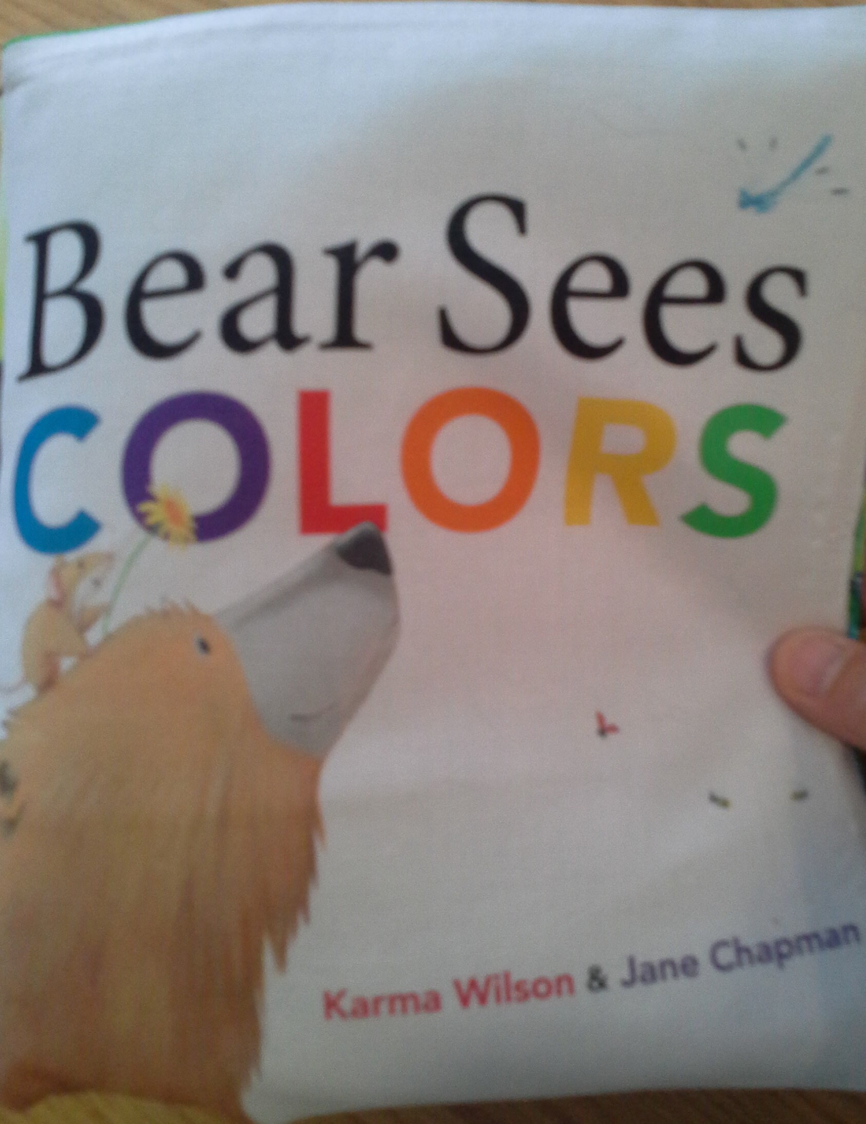 bear sees colors