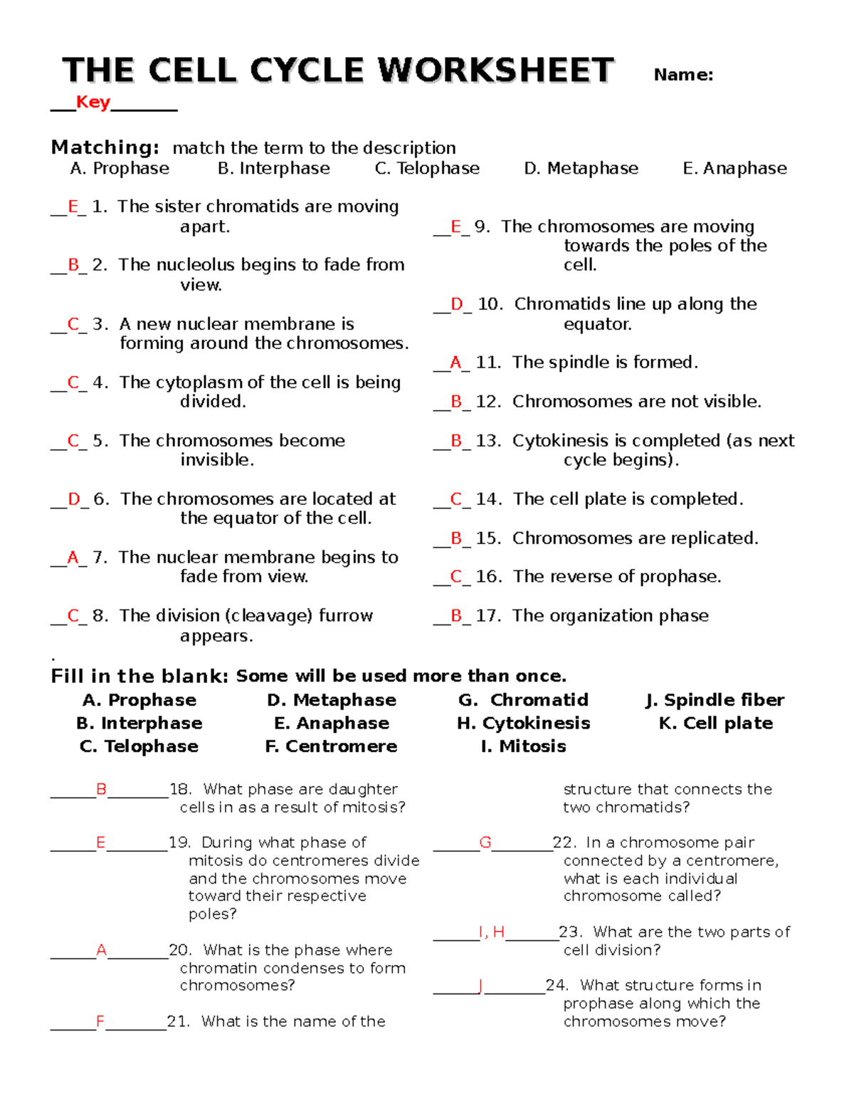 The cell cycle worksheet With Answers THE CELL CYCLE 
