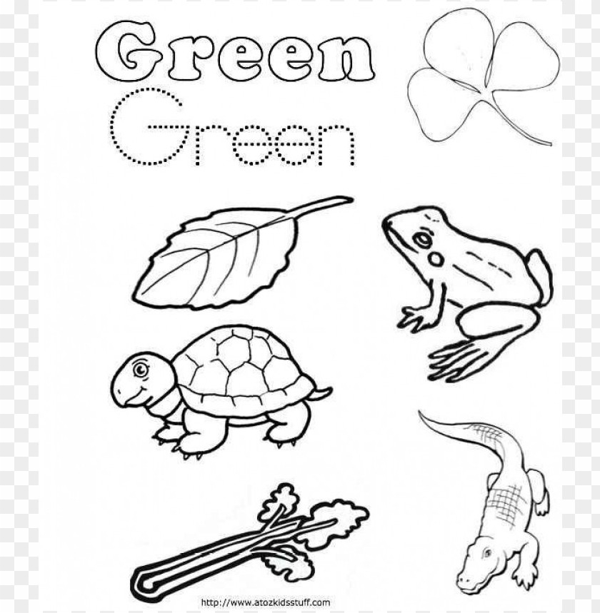 The Color Green Coloring Pages PNG Transparent With Clear 