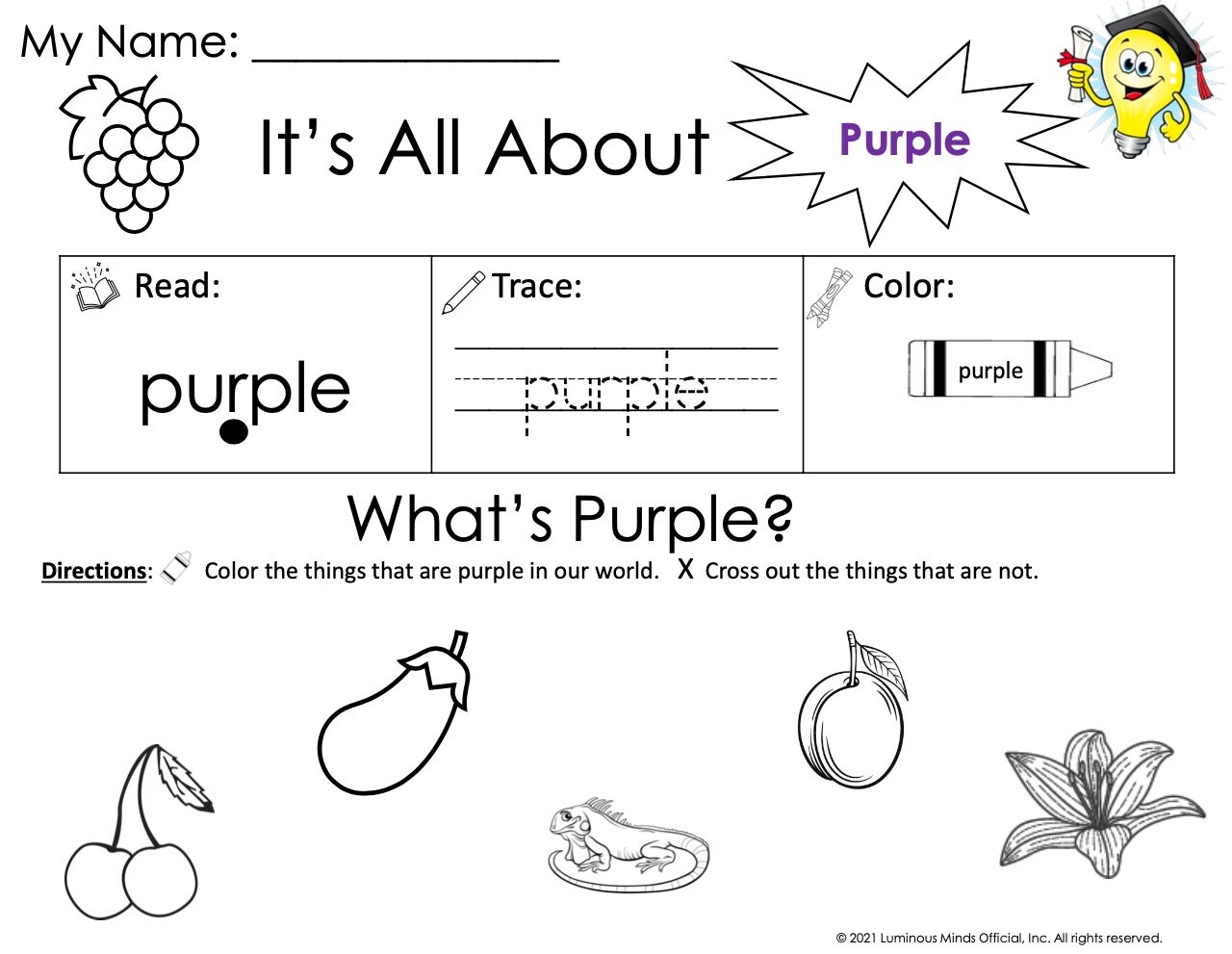 The Color Purple Activity Pack Introduce And Teach The Color 