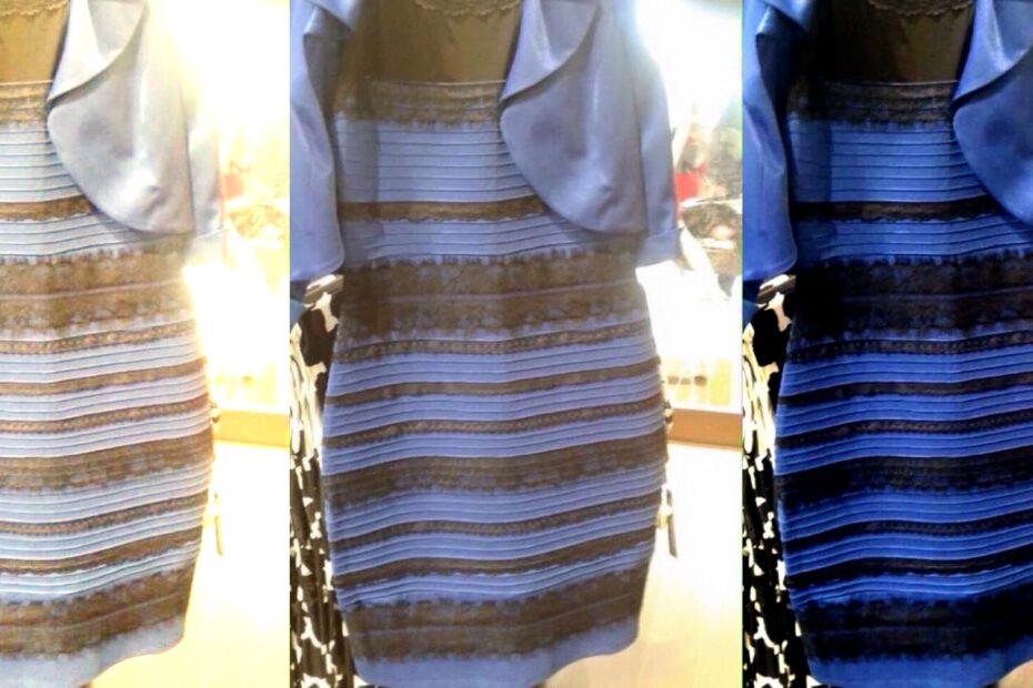 The Science Of Why No One Agrees On The Color Of This Dress WIRED