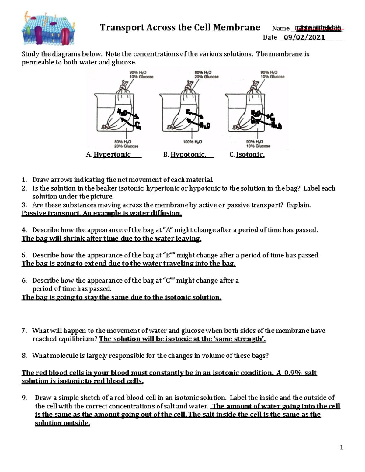 Transport Across The Cell Membrane Worksheet Student Copy 3 