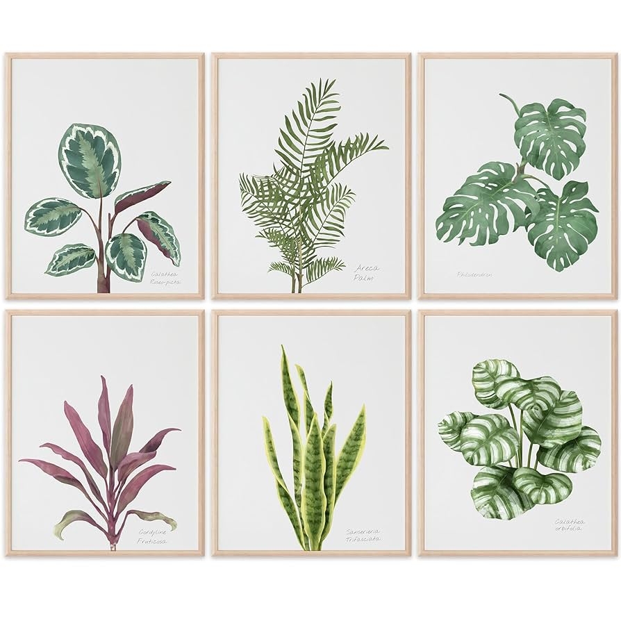 elegant botanical printables for a classroom