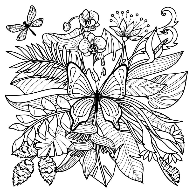 rainforest pictures to color
