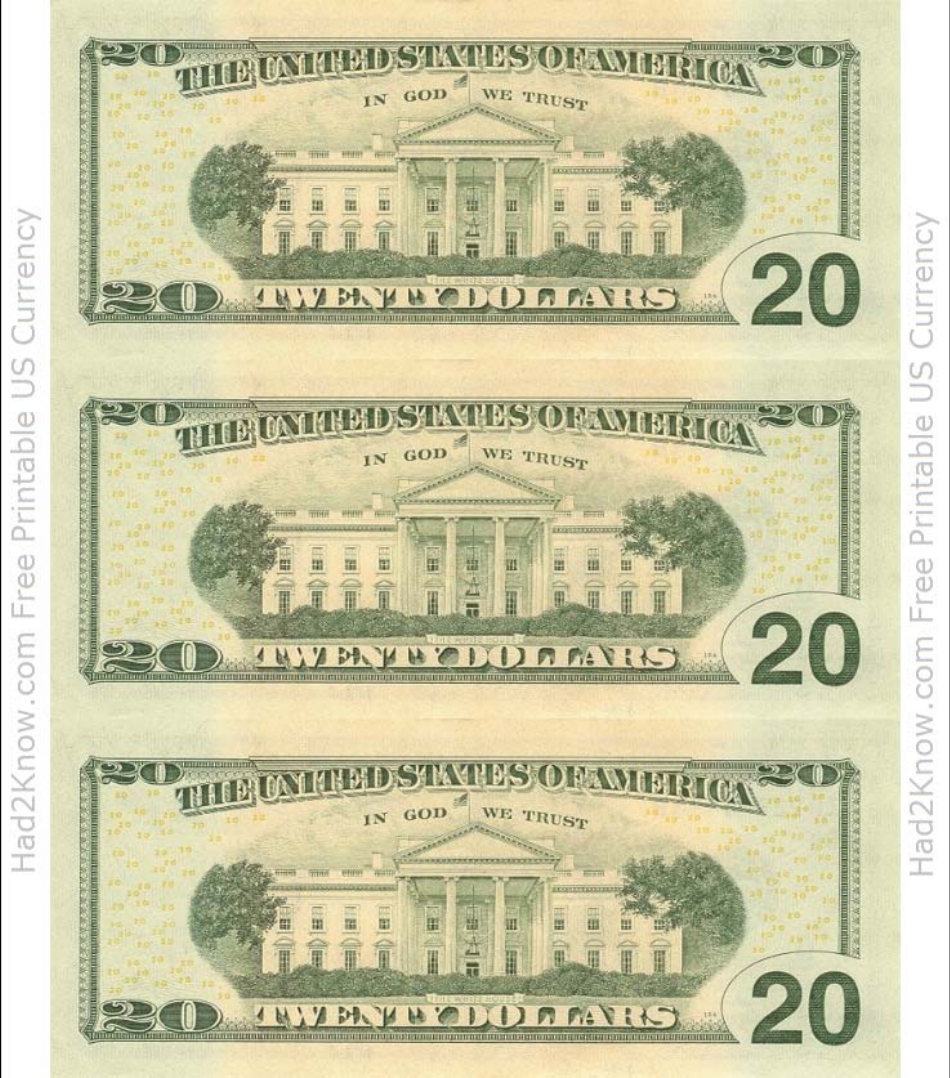 Twenty Dollar Bill Template Back Download Printable PDF 