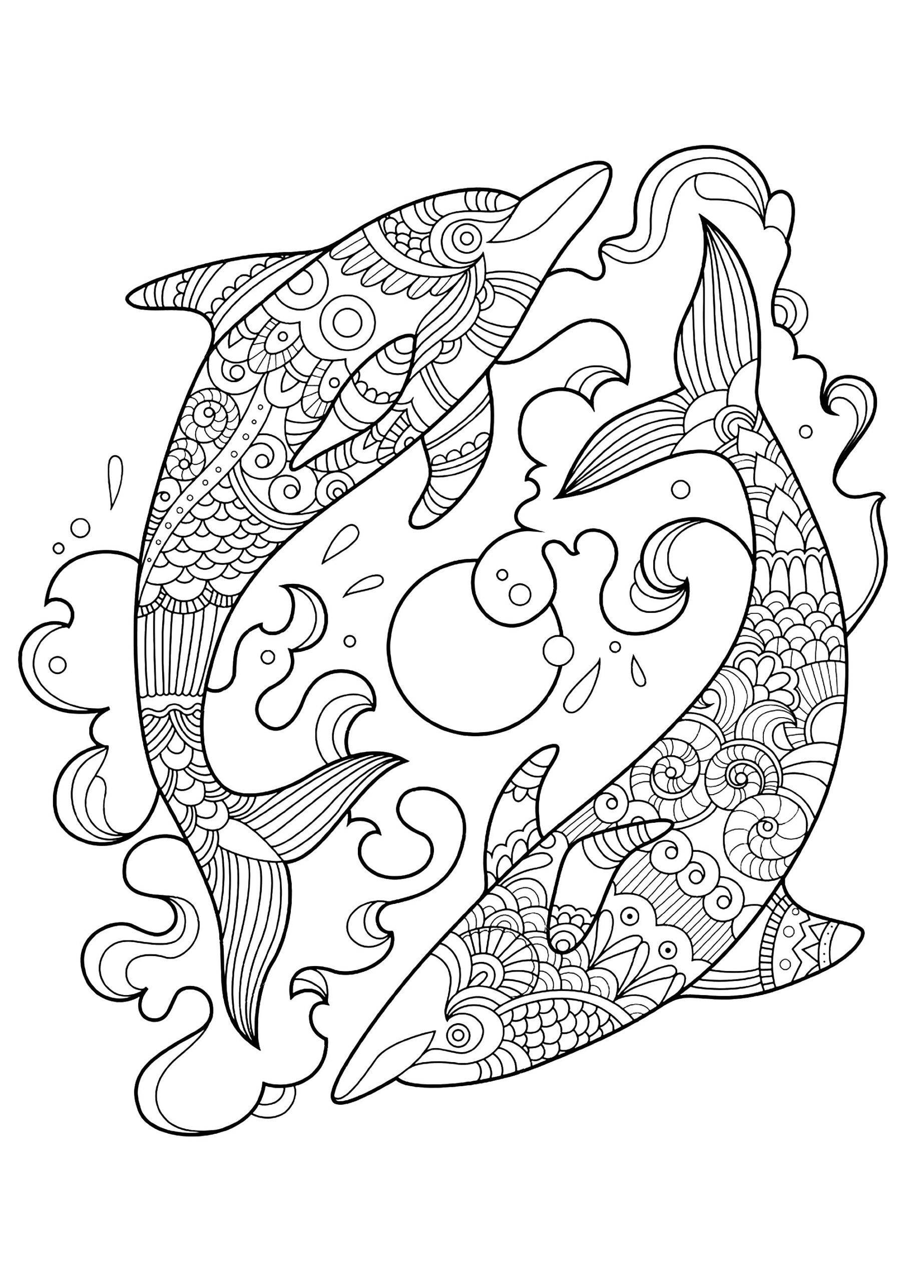 dolphin adult coloring page