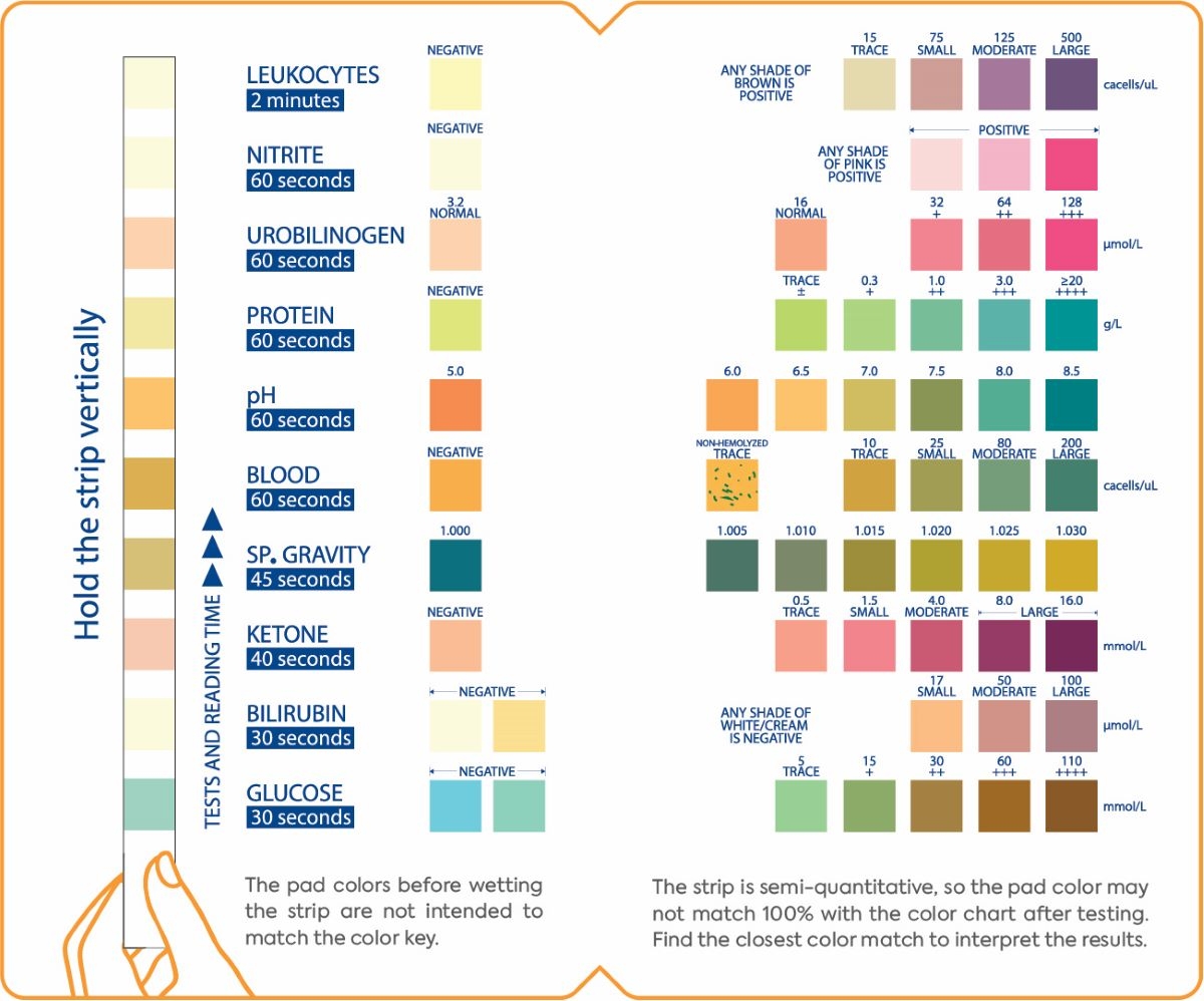 Urinalysis For Pets How At Home Testing Supports Pet Health