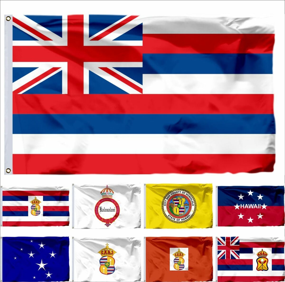 USA Hawaii Flag Sovereignty Movement Honolulu Ka Lahui Kanaka Maoli Governor