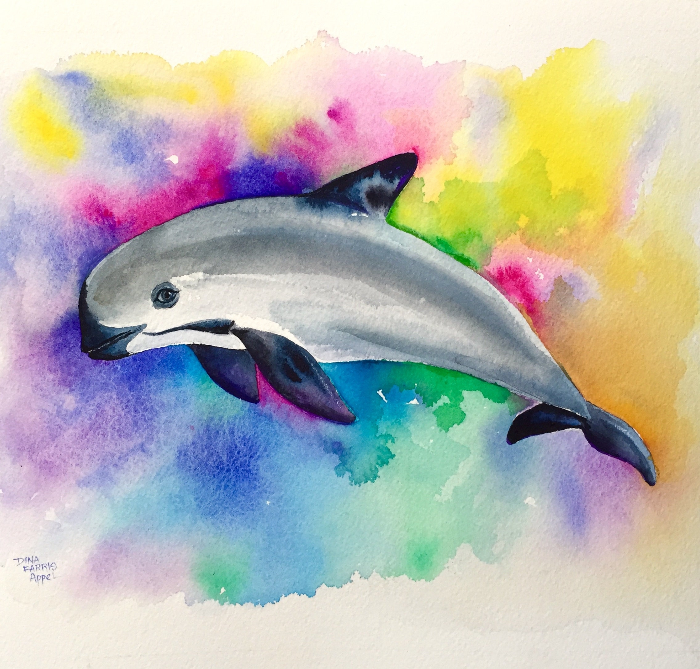 Vaquita Painting Colorful Dolphin Art Dolphin Watercolor Painting One Of A Kind Endangered Species Marine Conservation Cetacean Whale Etsy