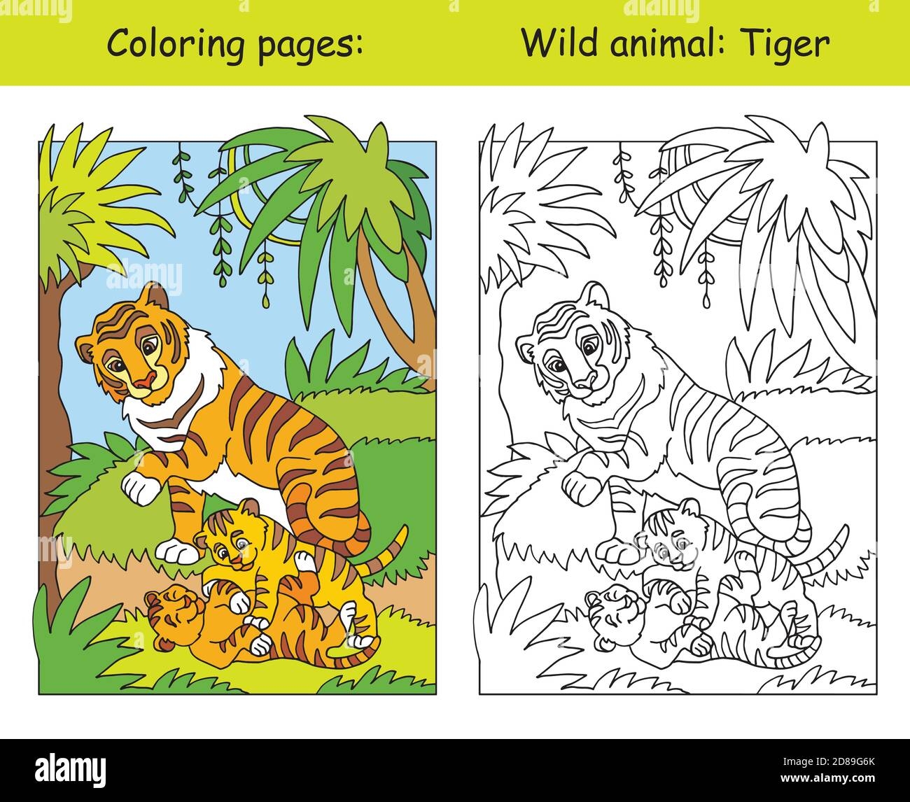 coloring pages of a tiger