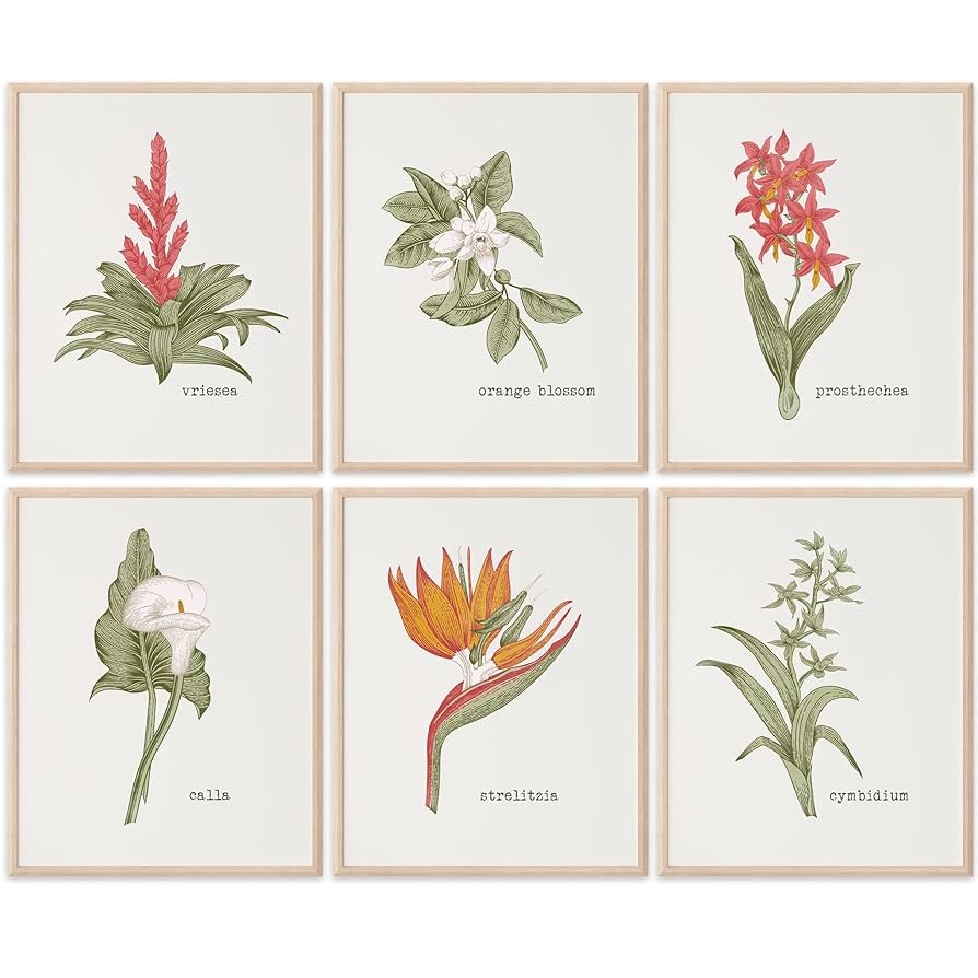 Vintage Botanical Wall Art Prints Set Of 6 Unframed 8x10s Flower Wall Art Vintage Botanical Prints Aesthetic Wall Decor Perfect For Home 