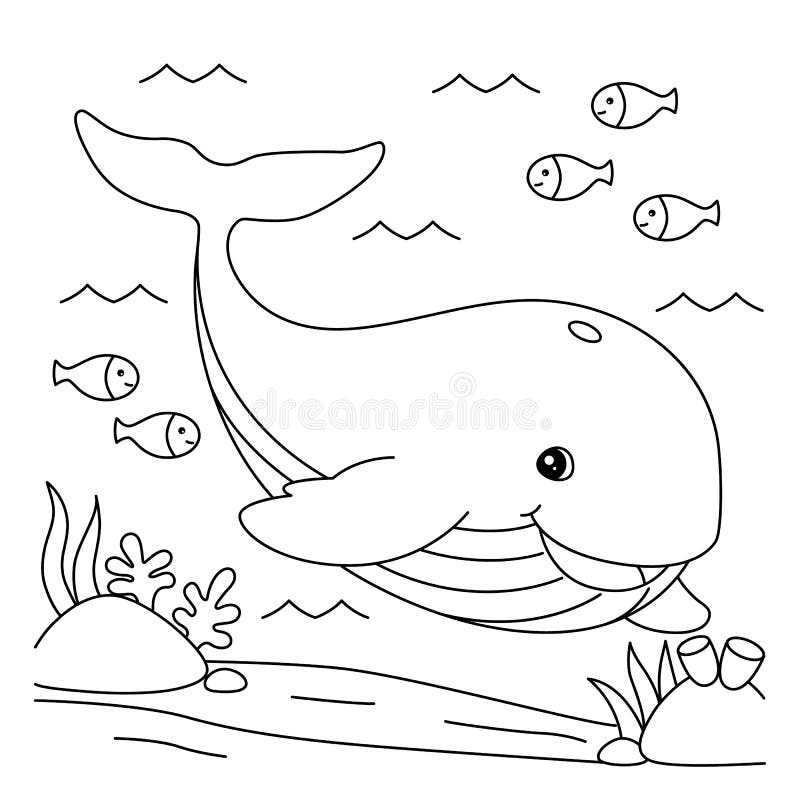 Whale Coloring Page For Kids Stock Vector Illustration Of Color Dolphin 236788983