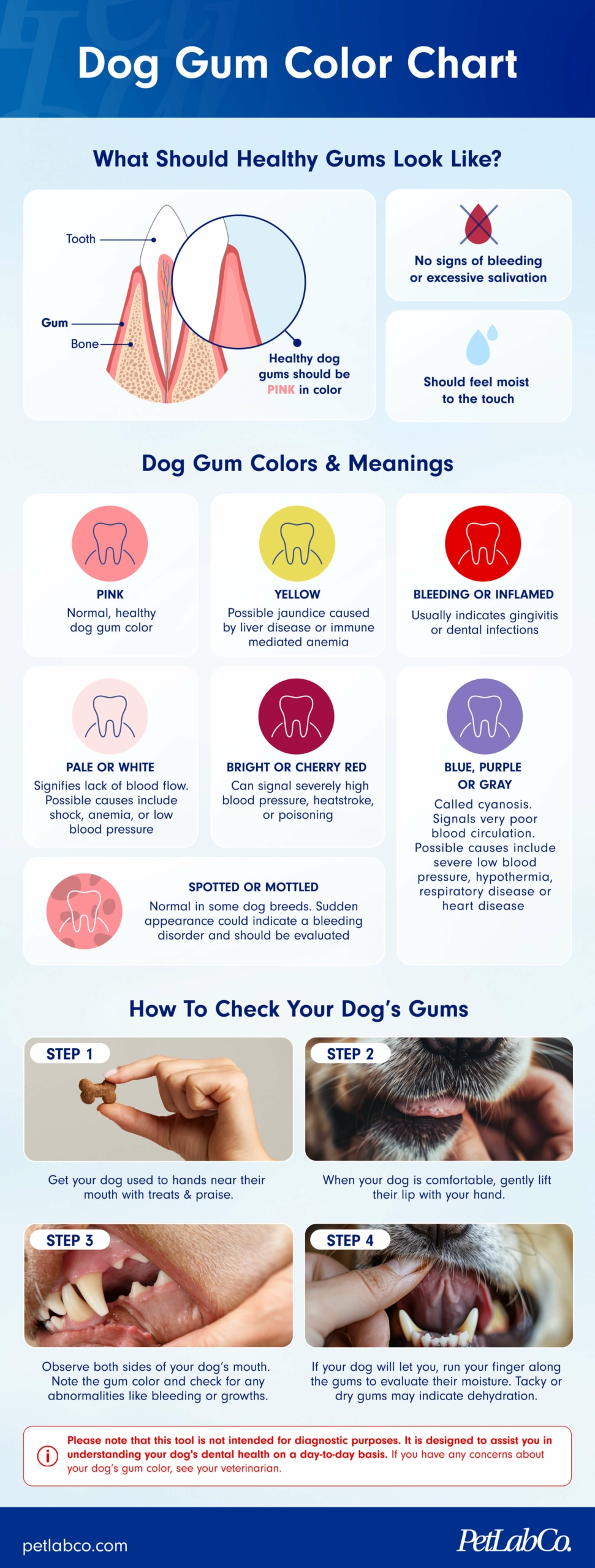 dog sperm color chart