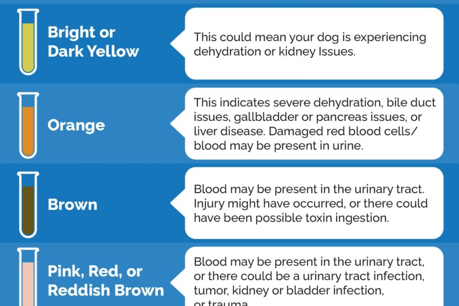 Why Is My Dog s Pee Green 5 Vet Reviewed Reasons U0026 What To Do