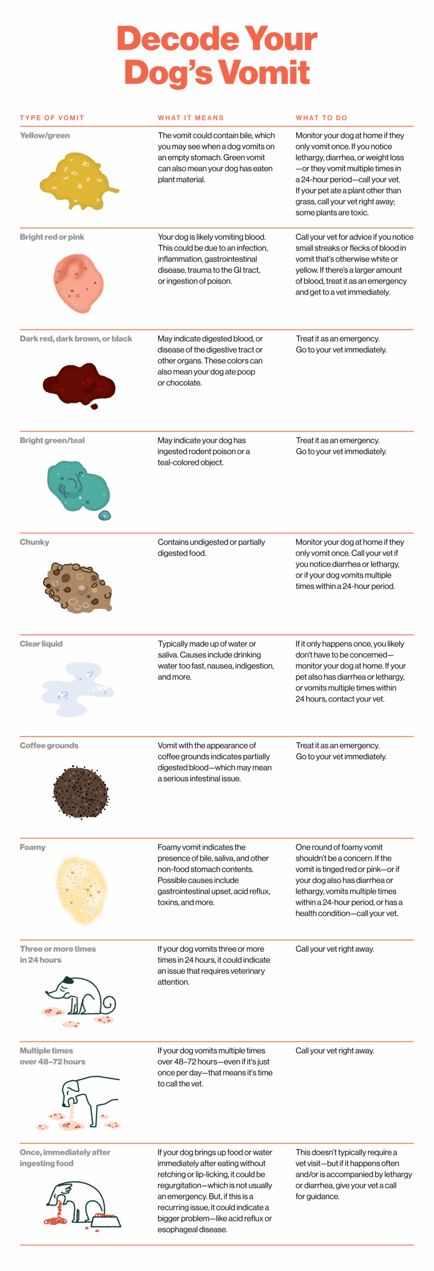 Why Your Dog Is Vomiting And What To Do About It