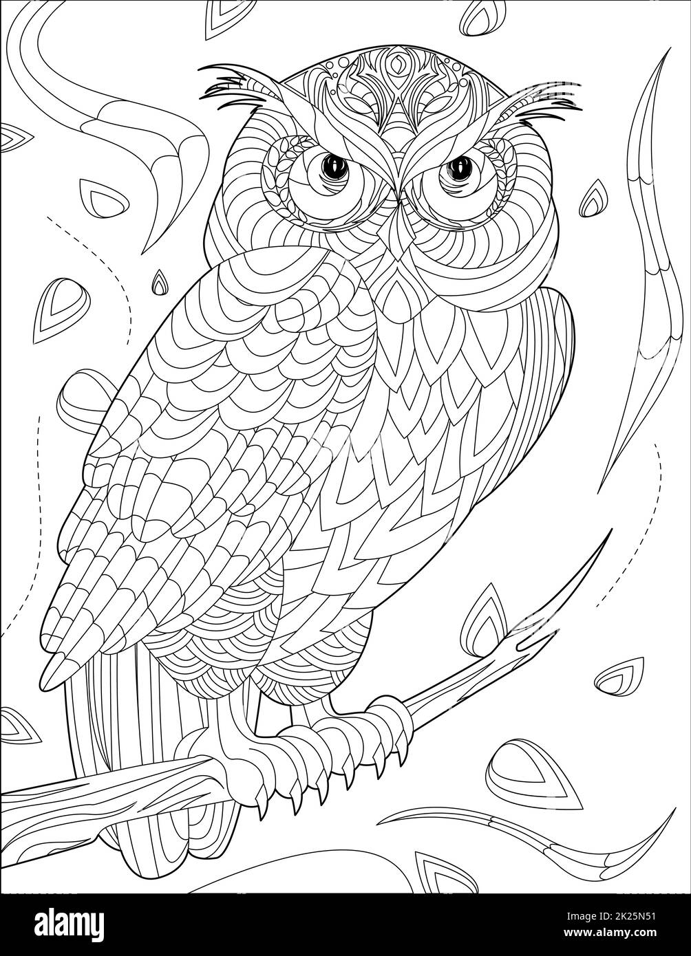 Wild Forest Animals Coloring Book Hi res Stock Photography And Images Alamy