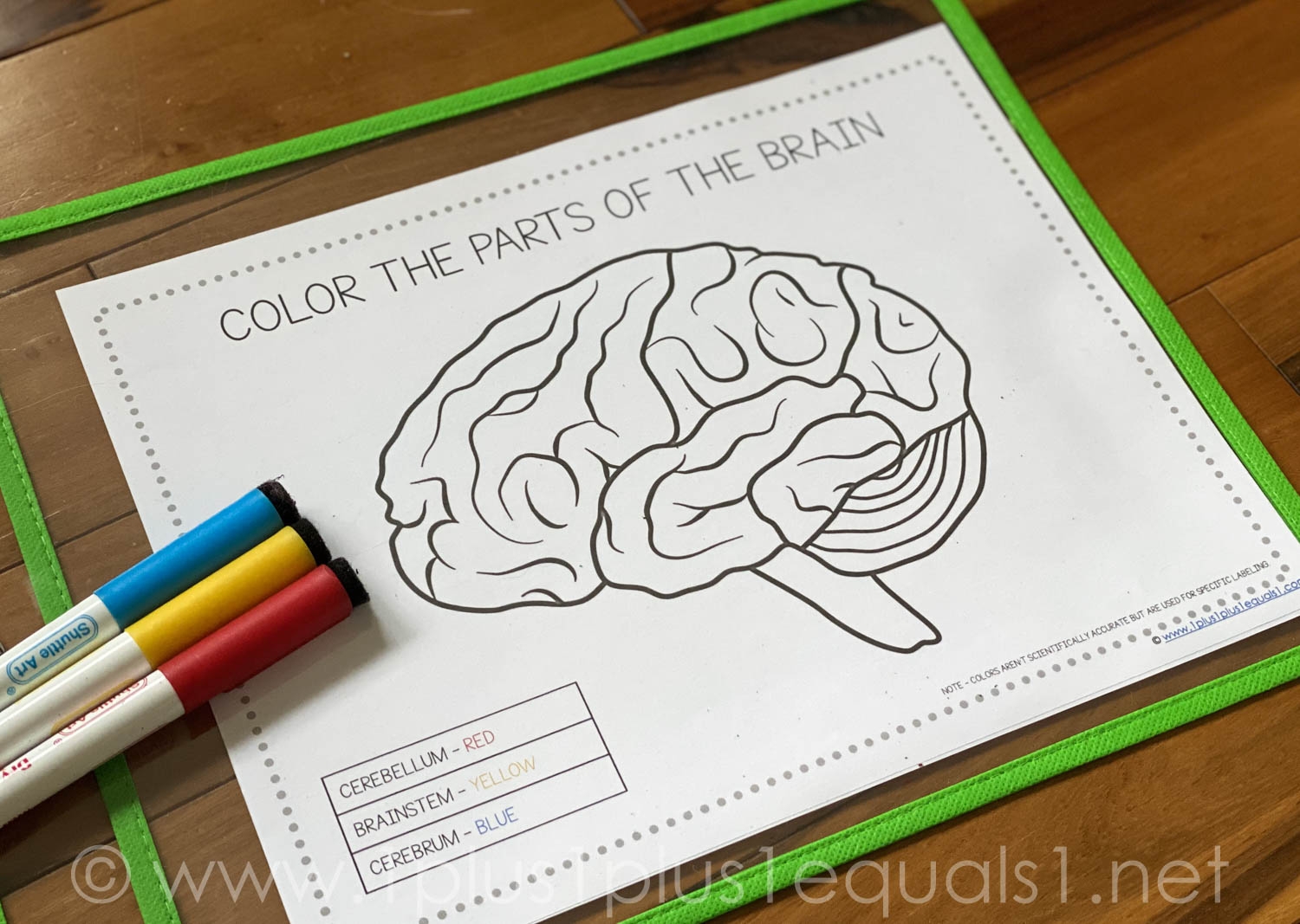 superstar worksheets brain superstar worksheets brain