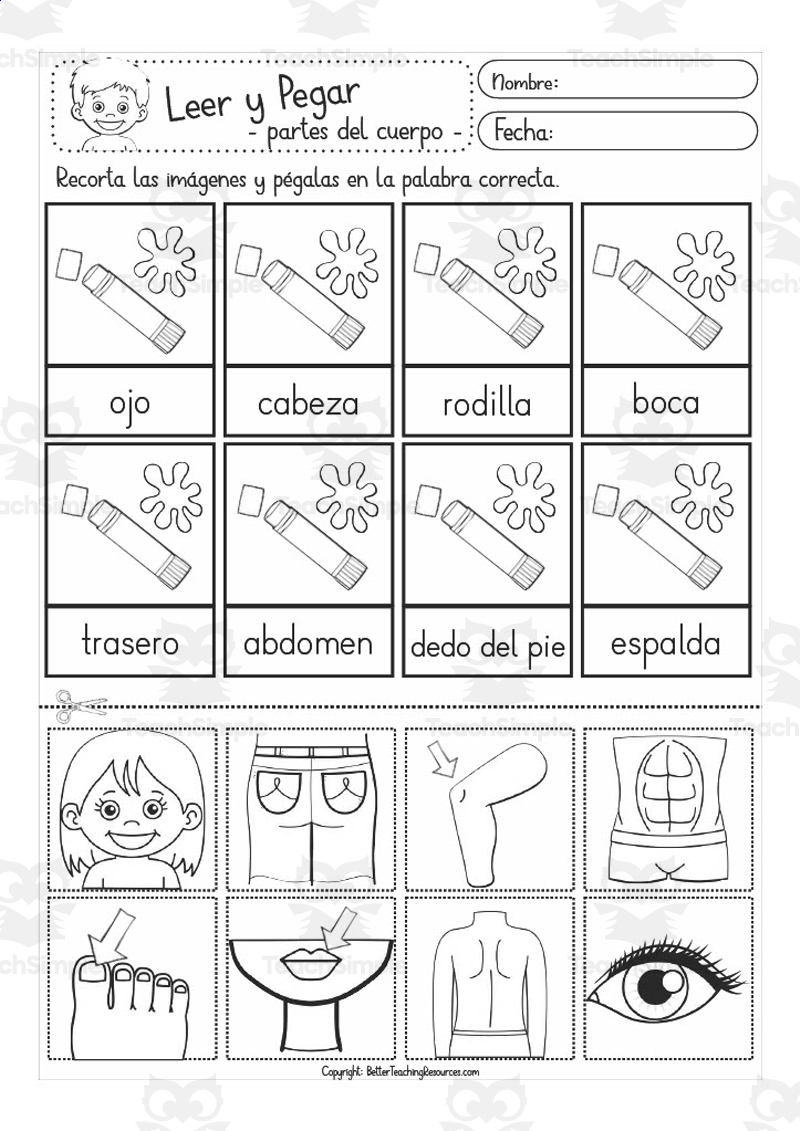 Spanish Worksheets For Kids Body Parts PDF 